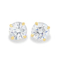 MET 0498 Earrings