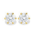 MET 0479 Earrings