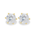 MET 0503 Earrings