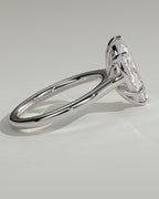 MET 0069 - white gold source reference - PV